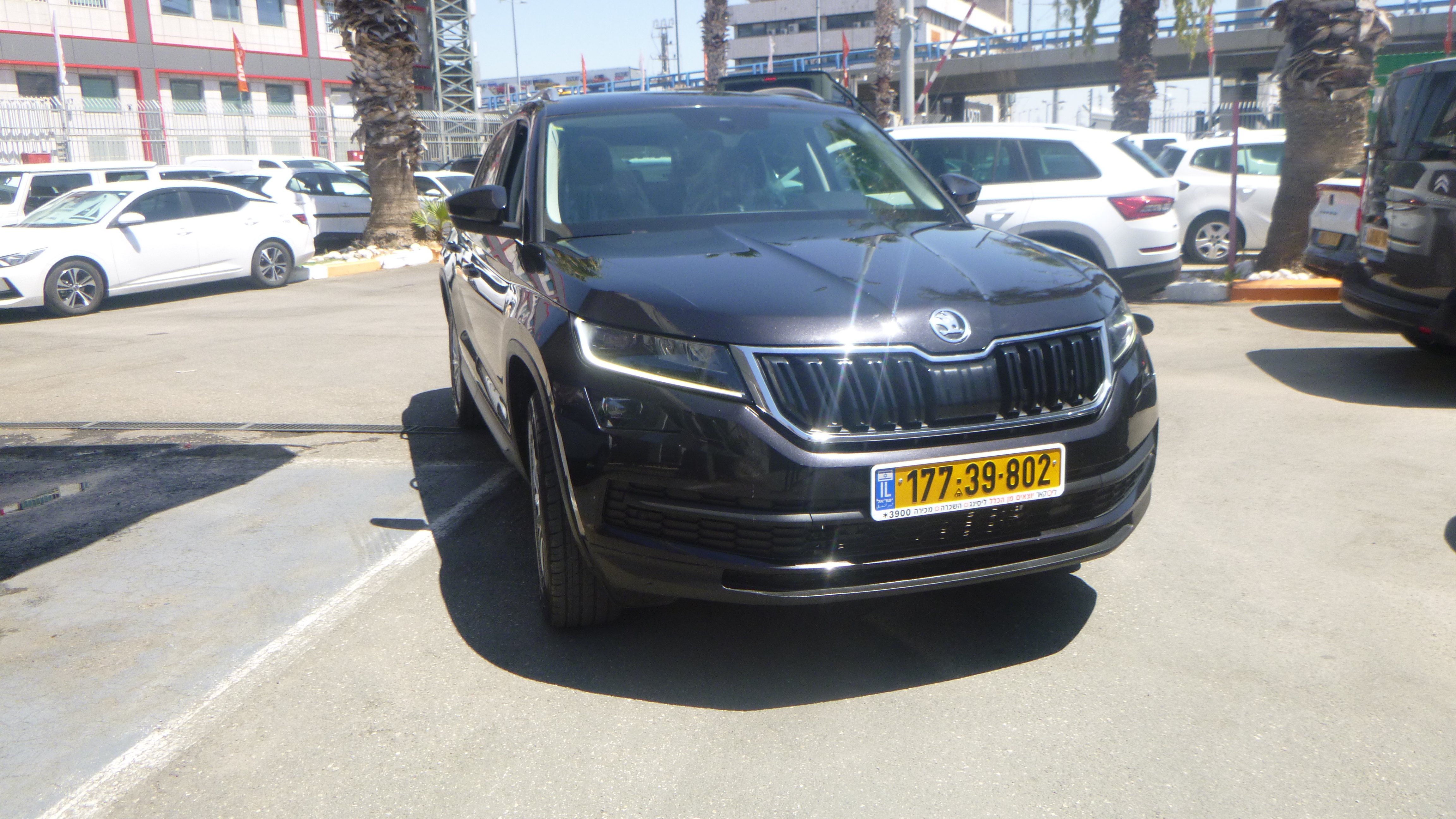 סקודה קודיאק